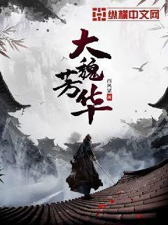 大魏芳华 大魏芳华